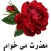 تشکر و اعتذار