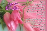 روزمعلم مبارک